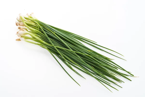 Spring onion — Stock Photo, Image