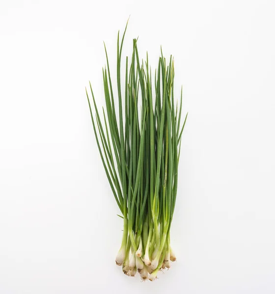 Spring onion — Stock Photo, Image