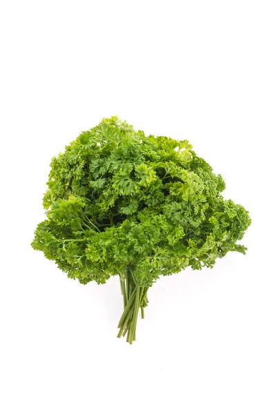 Parsley — Stock Photo, Image