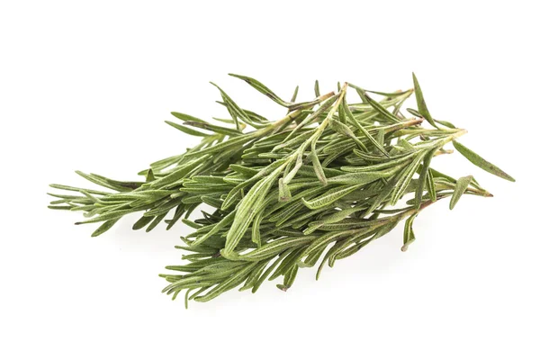 Rosemary isolated on white background — Stock Photo, Image