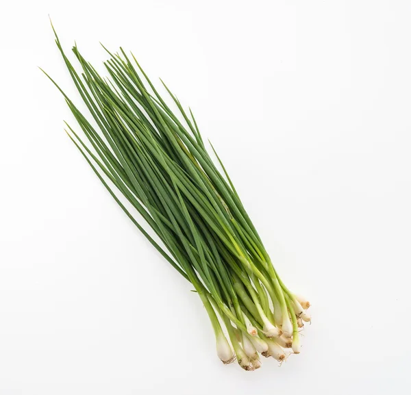 Spring onion