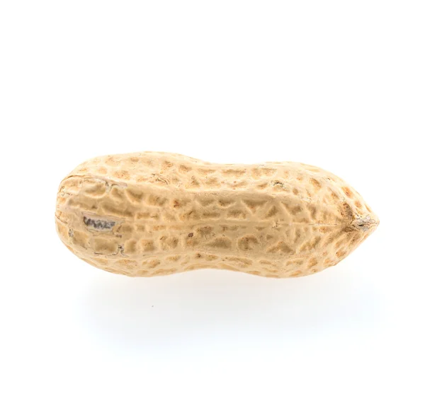 Peanut in shell — Stock Photo, Image