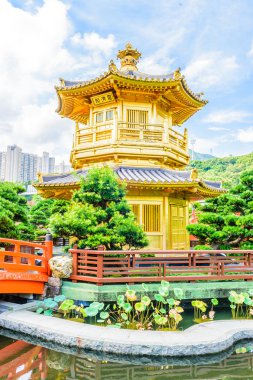 Altın Çin Pavyonu hong kong park 