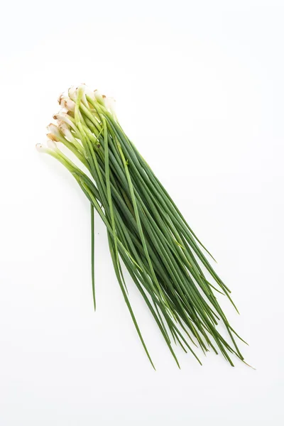 Spring onion — Stock Photo, Image