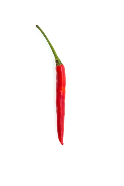 Chilli papriček — Stock fotografie