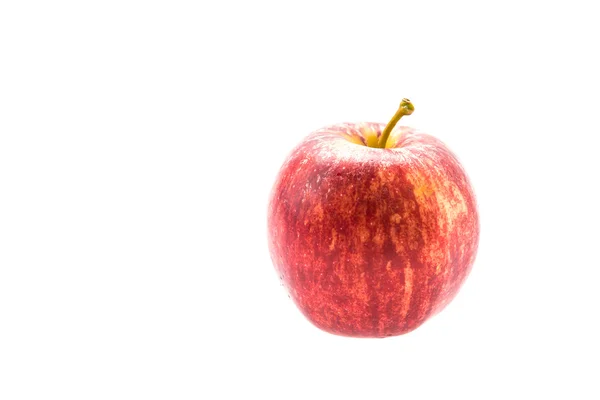 苹果在白色上被隔离 — 图库照片
