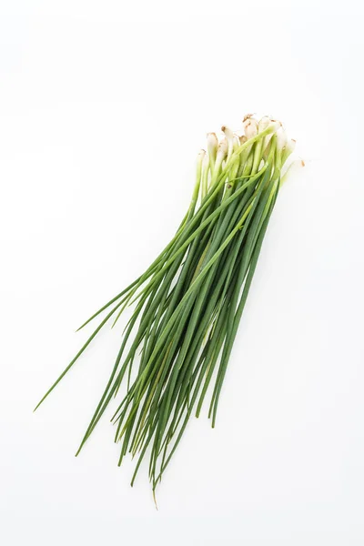 Cebolla de primavera aislada sobre fondo blanco — Foto de Stock