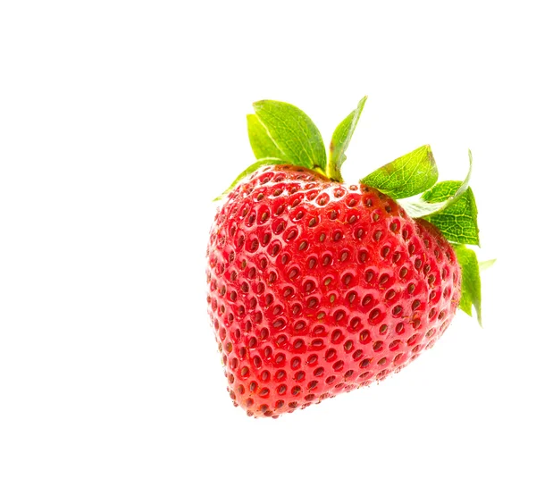 Fragola — Foto Stock