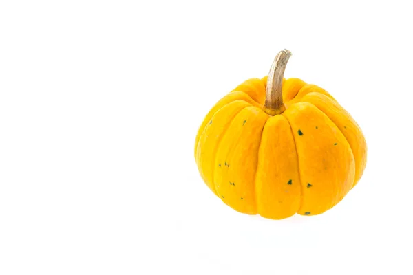 Calabaza —  Fotos de Stock