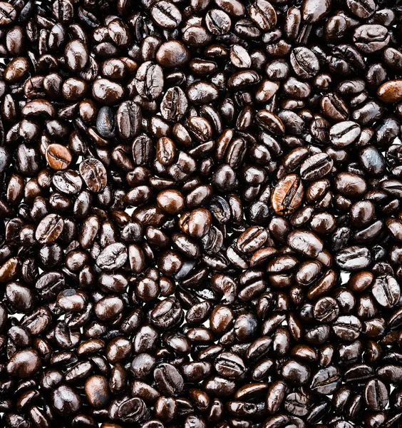 Coffee beans — Stock Photo, Image