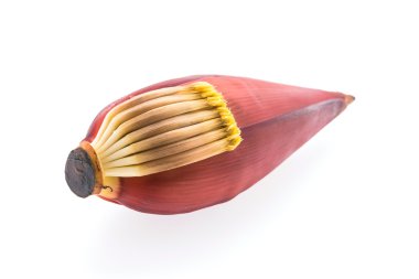 muz çiçeği