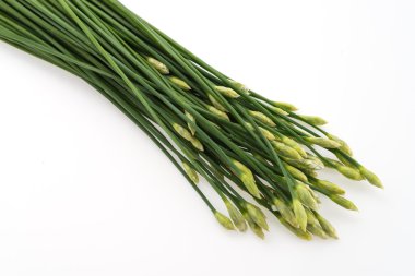 sarımsak chives