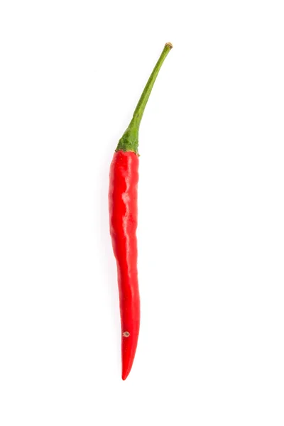 Chilli — Stock Photo, Image