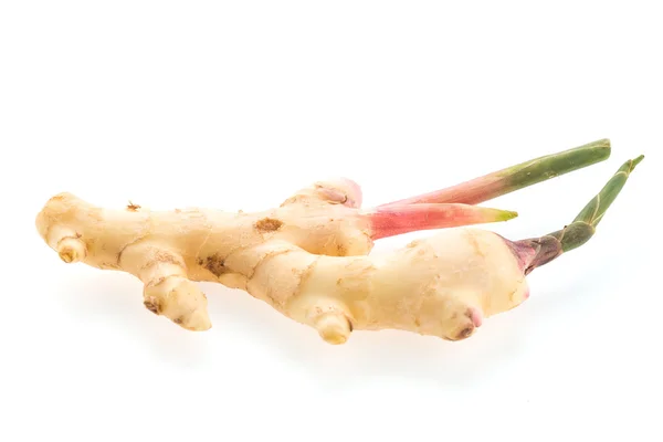 Ginger — Stock Photo, Image