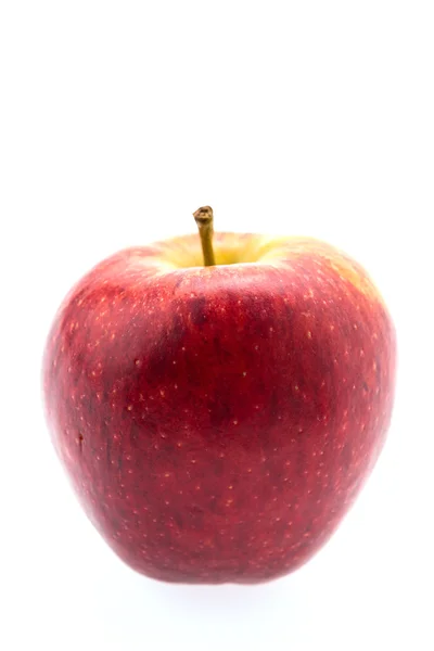 Apfel — Stockfoto