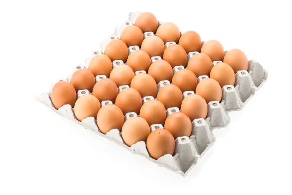 Eggs — Stock Photo, Image