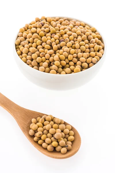 Soybean — Stock Photo, Image