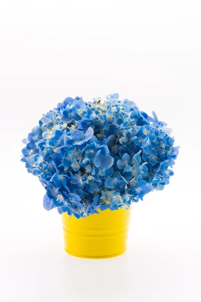 Ortensia bouquet di fiori isolato — Foto Stock