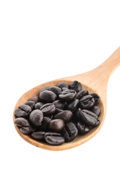 Coffee beans — Stock Photo, Image