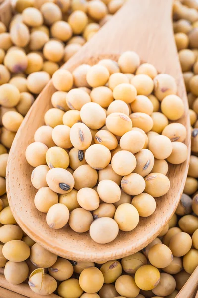 Soybeans on spoon — Stock Photo, Image