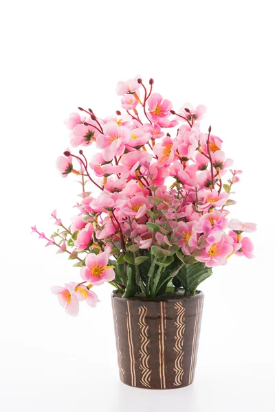 Vase of  flowers — Stock Photo, Image