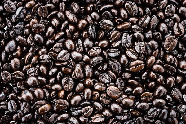 Coffee beans — Stock Photo, Image