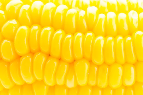 Közelről kukorica — Stock Fotó