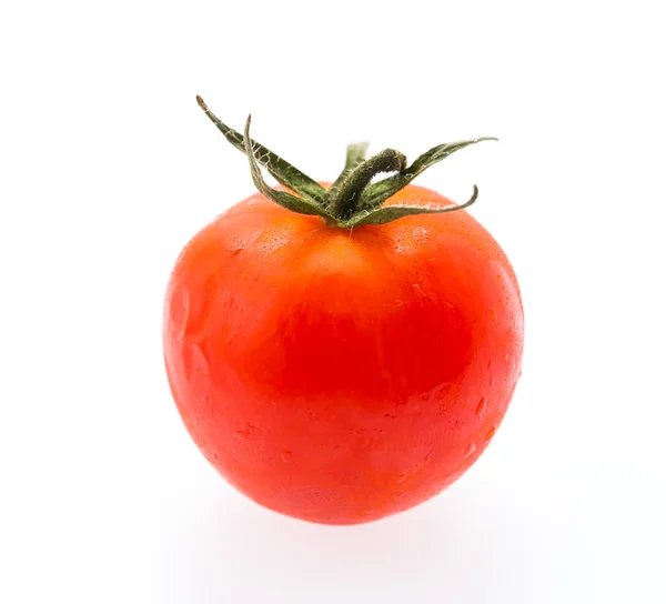 Tomate Vermelho — Fotografia de Stock