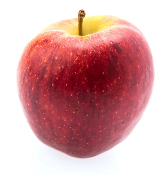 Apple isoliert auf Weiß — Stockfoto