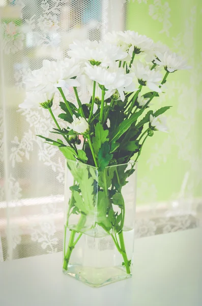 Fleur dans le vase — Photo