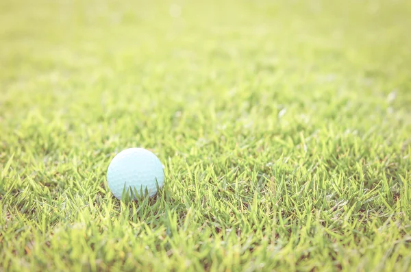 Bola de golfe na grama verde — Fotografia de Stock