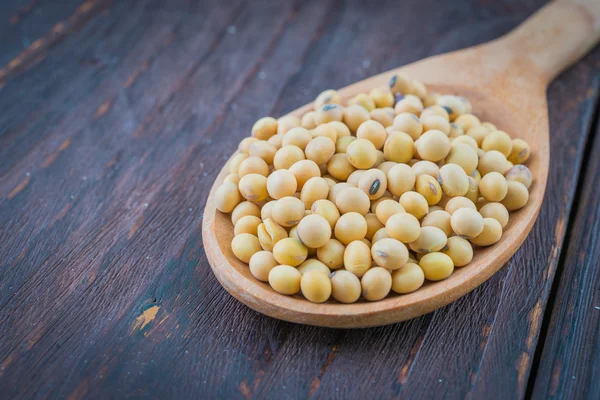 Soy beans — Stock Photo, Image