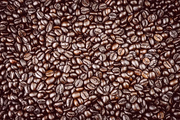 Coffee beans — Stock Photo, Image