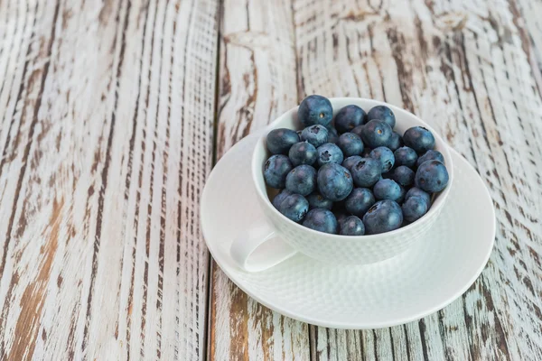 Blueberry cup — Stockfoto