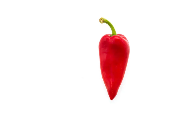 Red chilli — Stock Photo, Image