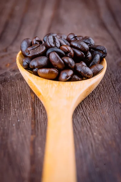 Coffee beans — Stock Photo, Image