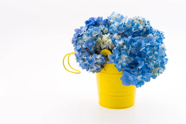 Hortensia blombukett — Stockfoto