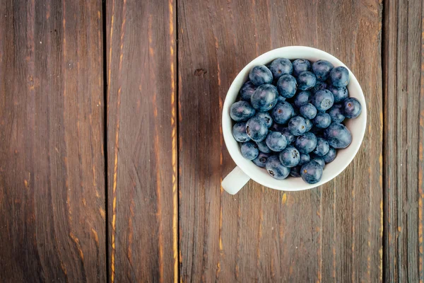 Blueberry cup — Stockfoto