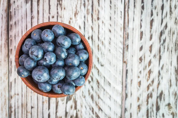 Blueberry tál — Stock Fotó