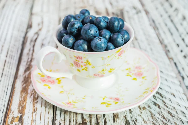 Blueberry cup — Stockfoto