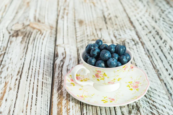 Blueberry cup — Stockfoto