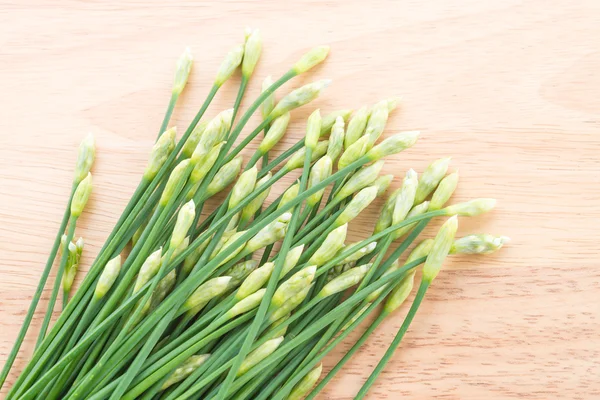 Garlic chives — Stock Photo, Image