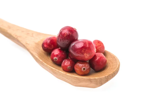 Cranberry — Stock Photo, Image