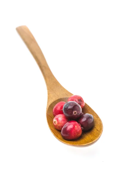 Cranberry — Stock Photo, Image