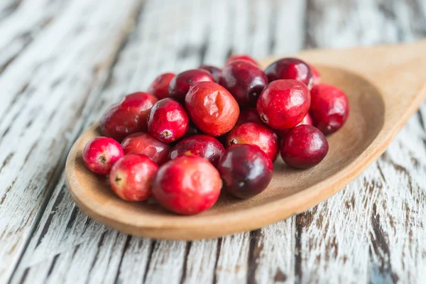 Cranberry — Stock Photo, Image