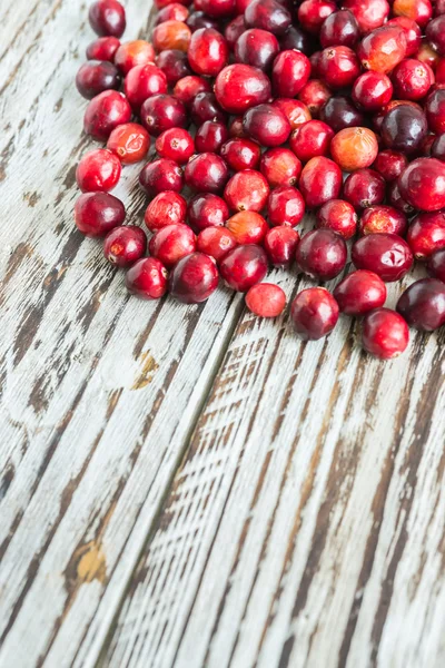 Cranberry — Stock Photo, Image