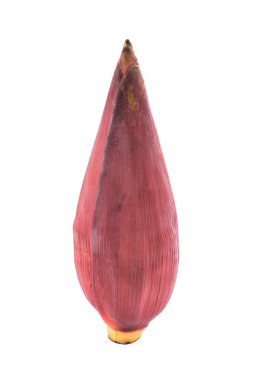 beyaz izole muz çiçeği