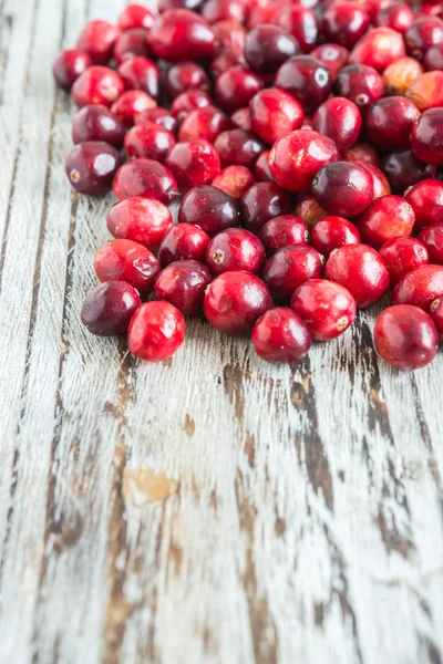 Cranberry — Stock Photo, Image