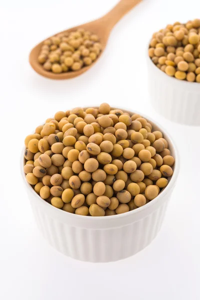 Soybean isolated on white background — Stock Photo, Image