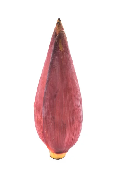 Banana blossom isolated on white — Stock Photo, Image